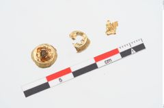 Foto von Goldknöpfe (NHMW-PRAE-025763)